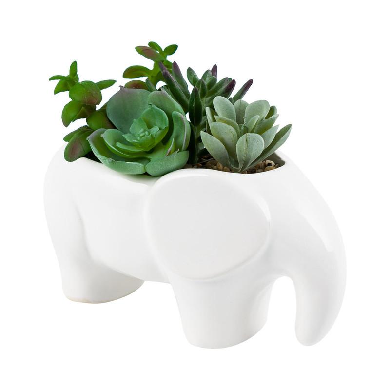Artificial Succulent Plants Display - 5" - Elephant Vase image