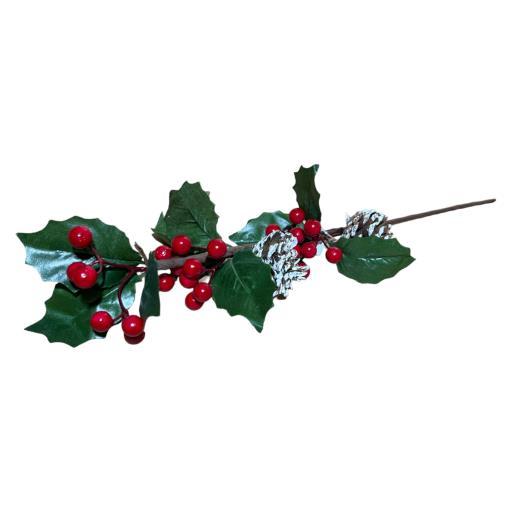 Mistletoe With Pinecones image