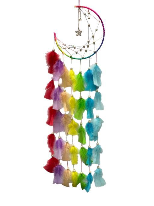 Rainbow Dream Catcher With Feathers Asst. image