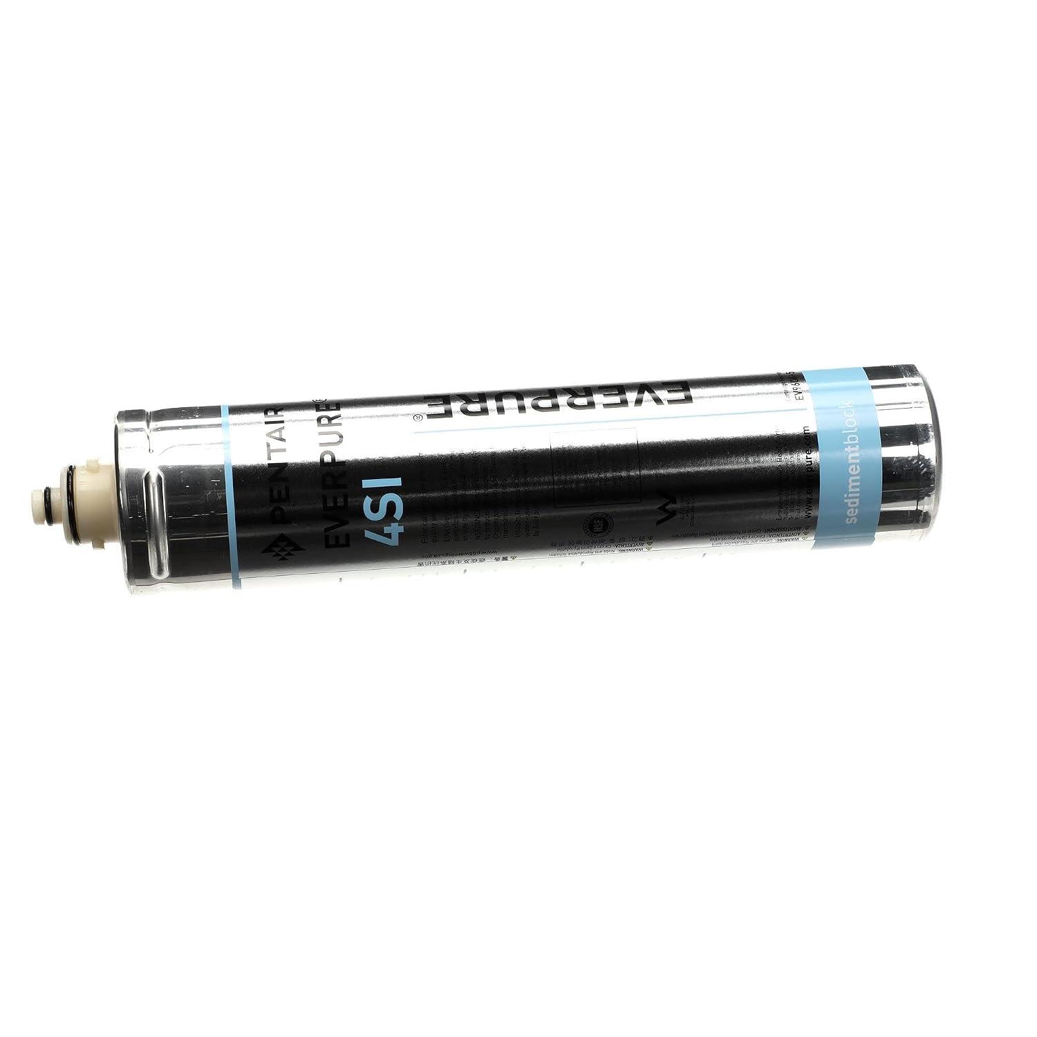 Everpure 4Si, Cart 1Pk | Slime Reduction