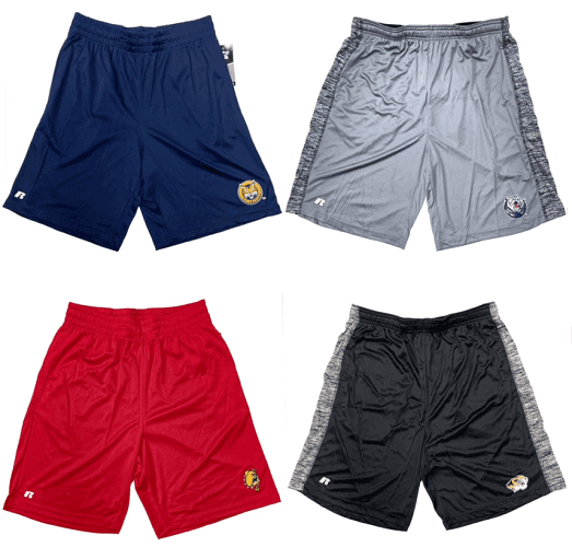 #621-CP 'Russell Athletic' Men's College Shorts - $1.50 each (42 Pieces) image