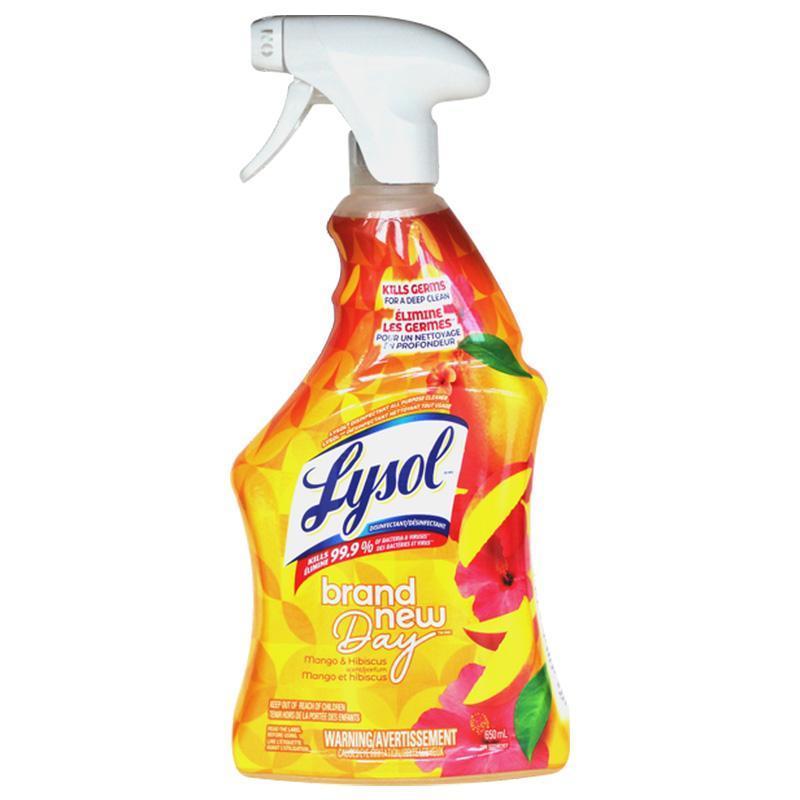 99300_650ML LYSOL SPRAY MANGO HIBISCUS-12 image