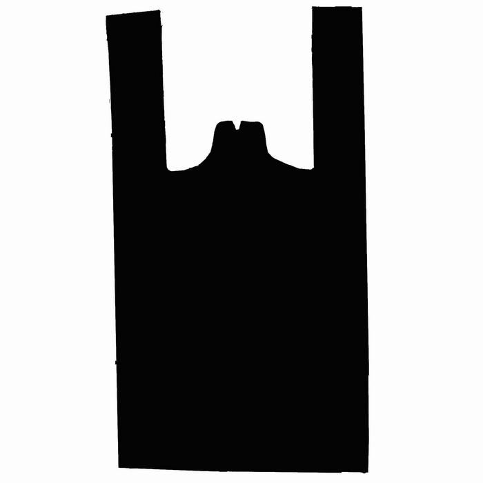 1/6 BLACK BAG 24MIC CS/150 image