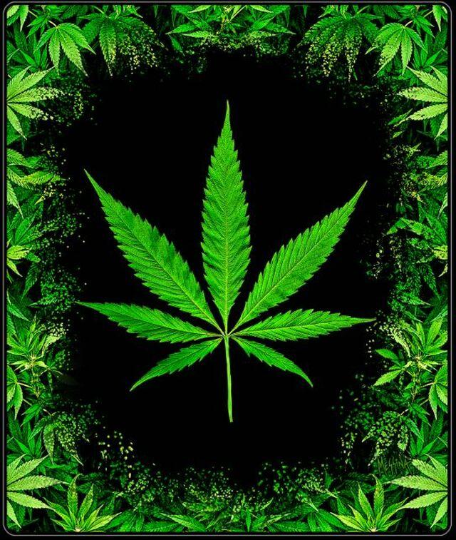 420 Flower Garden Throw