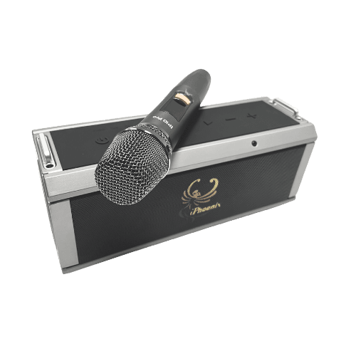 IP-10-Pro 8 Hrs 120W BT Wireless Karaoke Speaker & UHF Mic