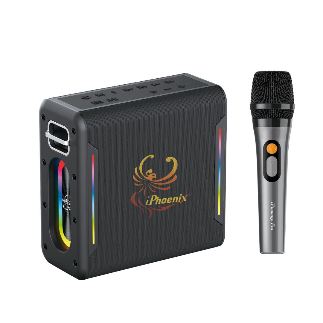 IX-100 6 Hrs BT XBass Portable Karaoke Speaker & Microphone - Black image