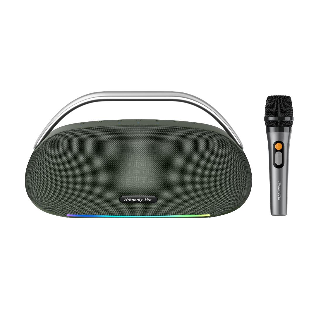 IX-113 13 Hrs 100W BT Wireless Karaoke Speaker & Microphone - Green image