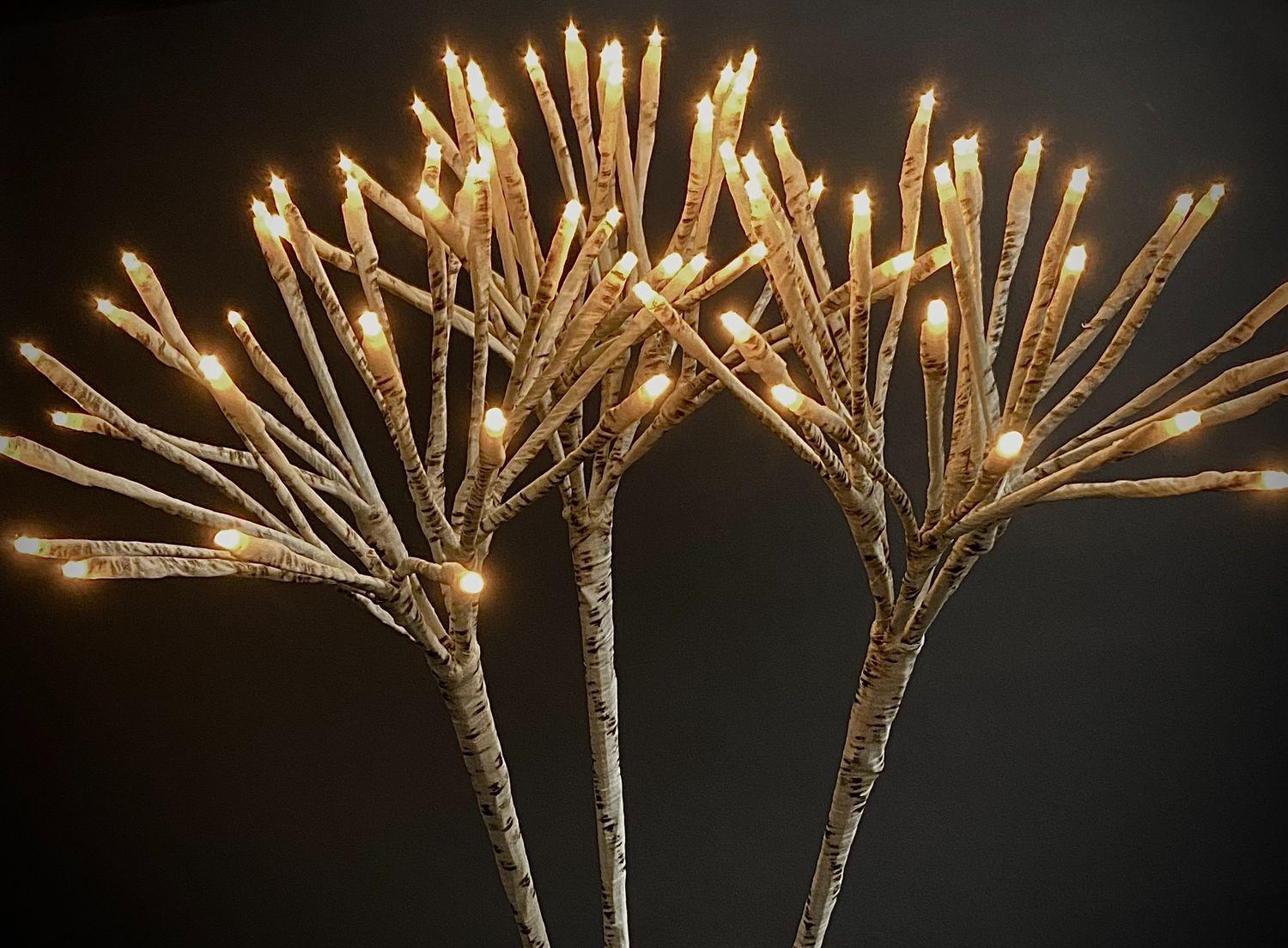 72 LIGHT STARBURST BIRCH BRANCH image