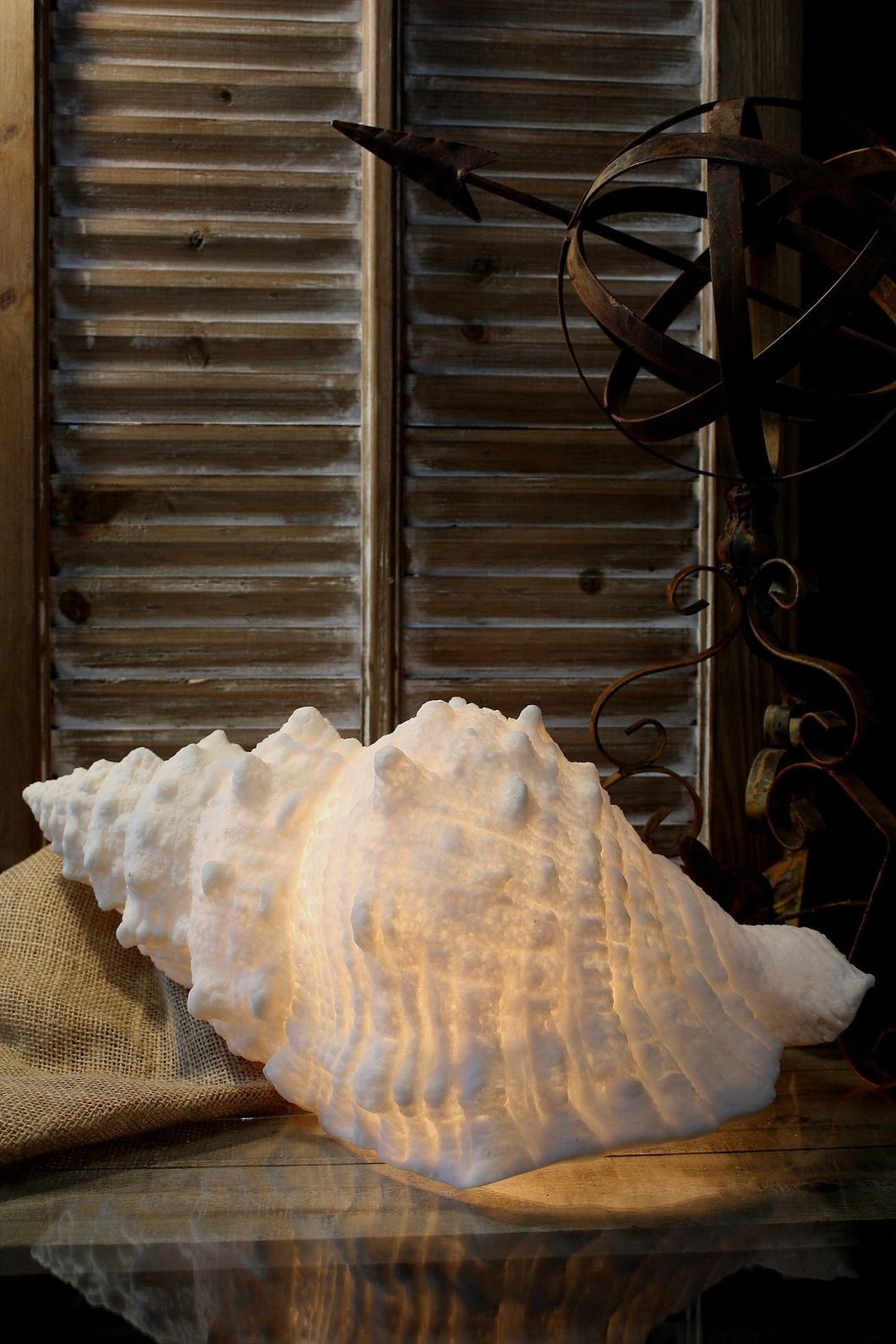 SHELL LAMP 18x10x7.5" image