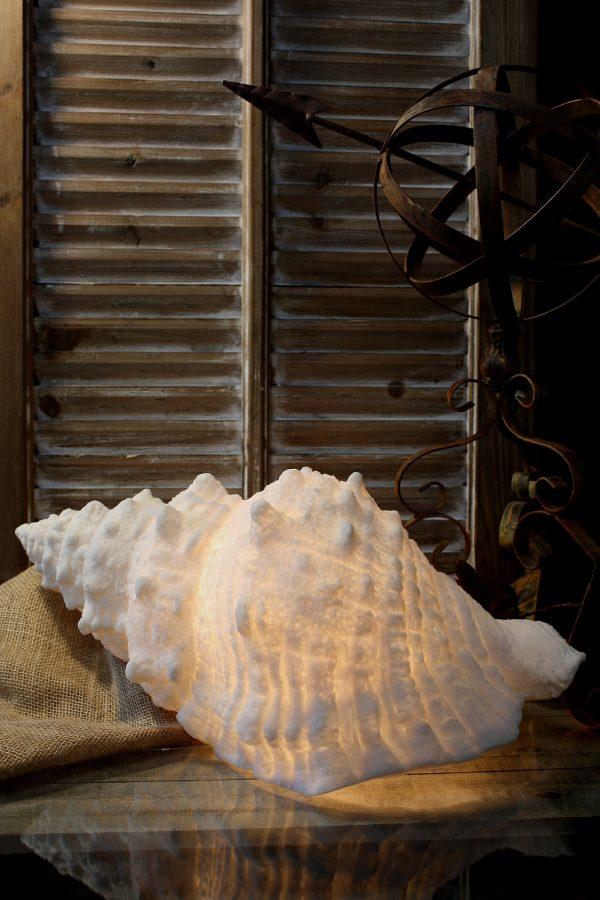 SHELL LAMP 26x15x10" image