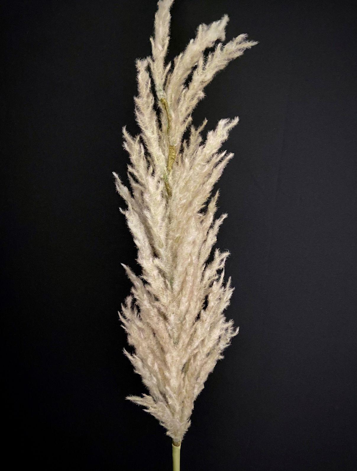 TAN FOAM FLOWER 46.5"x27" image
