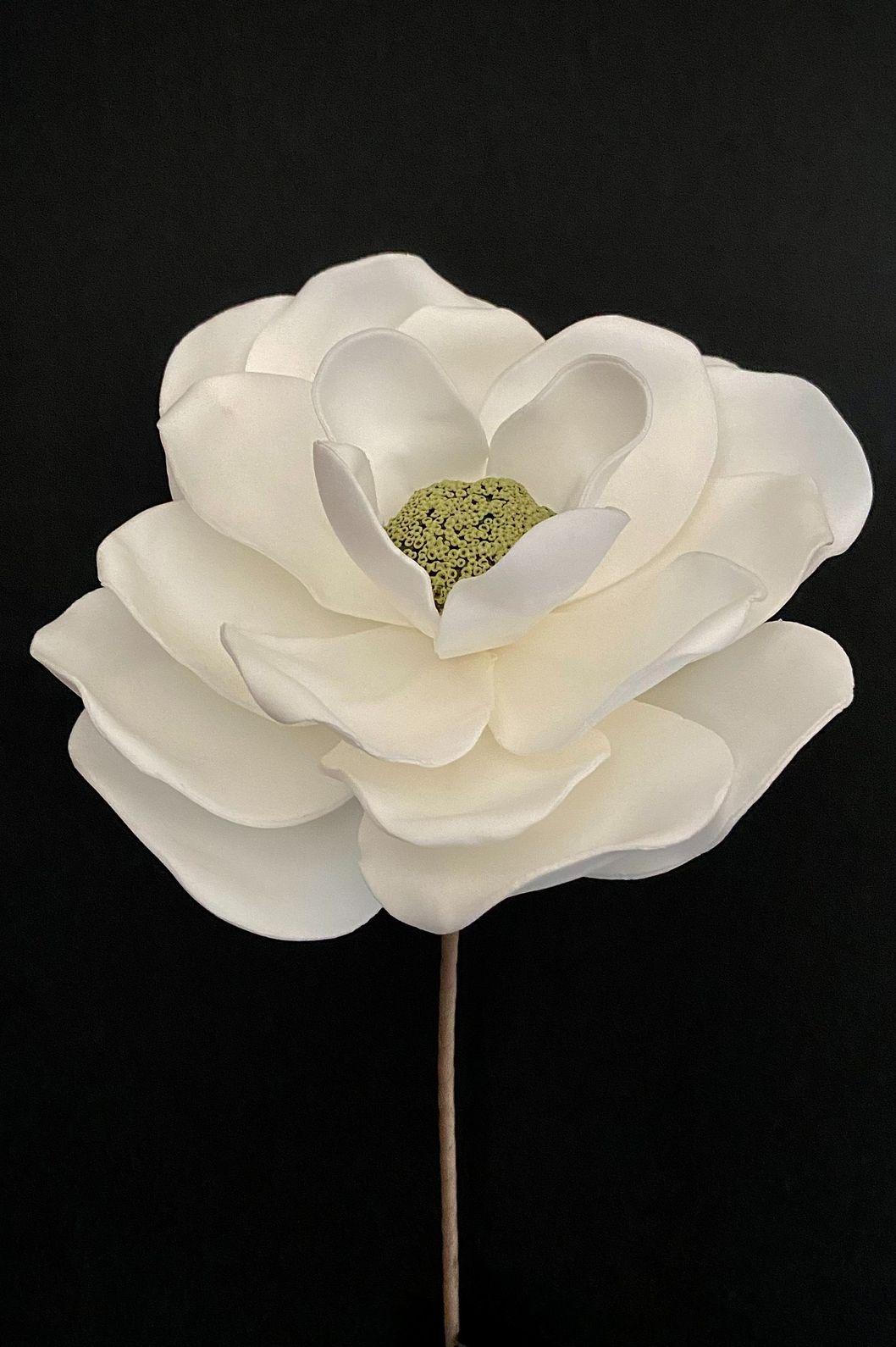 WHITE FOAM FLOWER 16x23" image