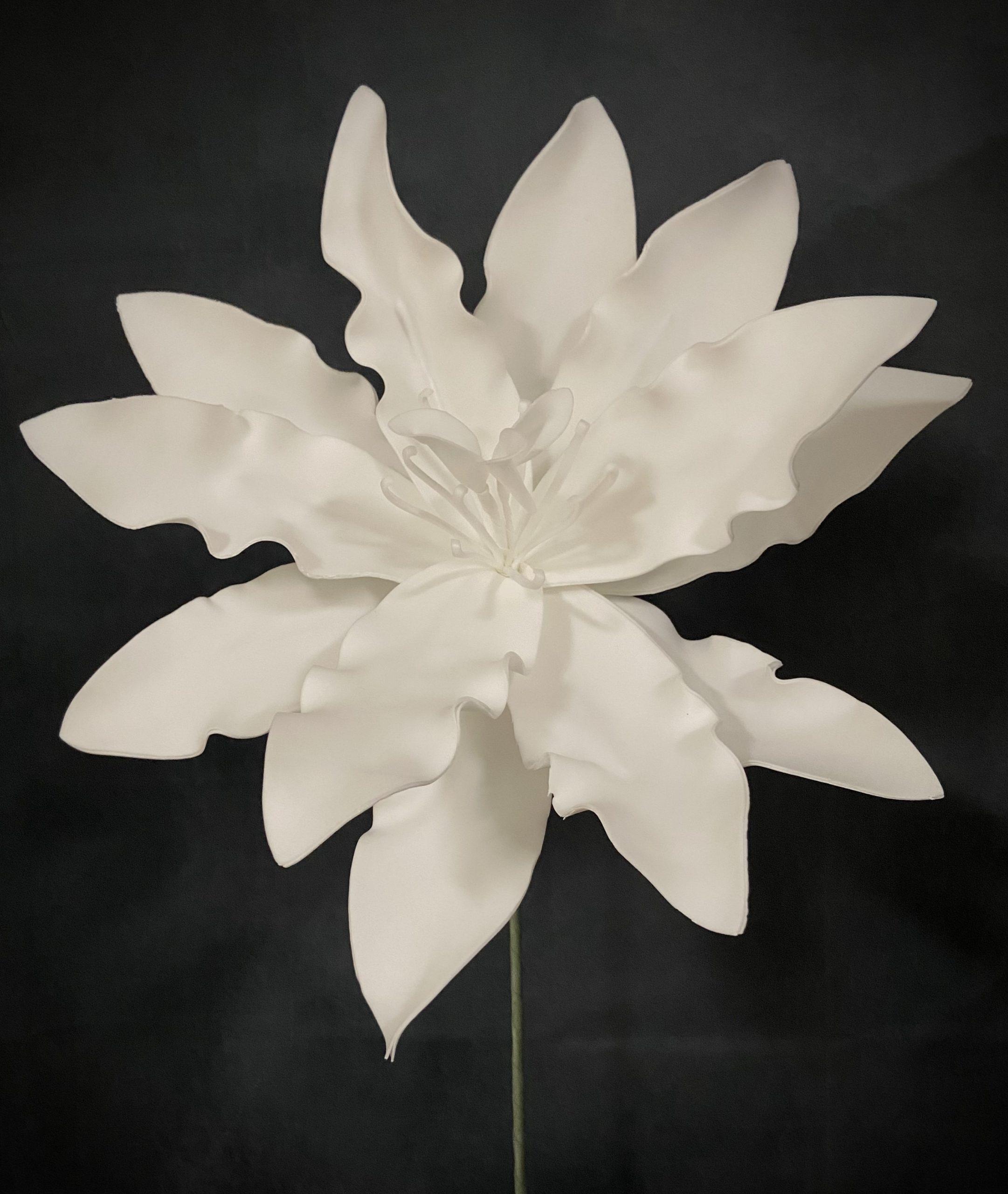 WHITE FOAM FLOWER 30"Lx16"D image