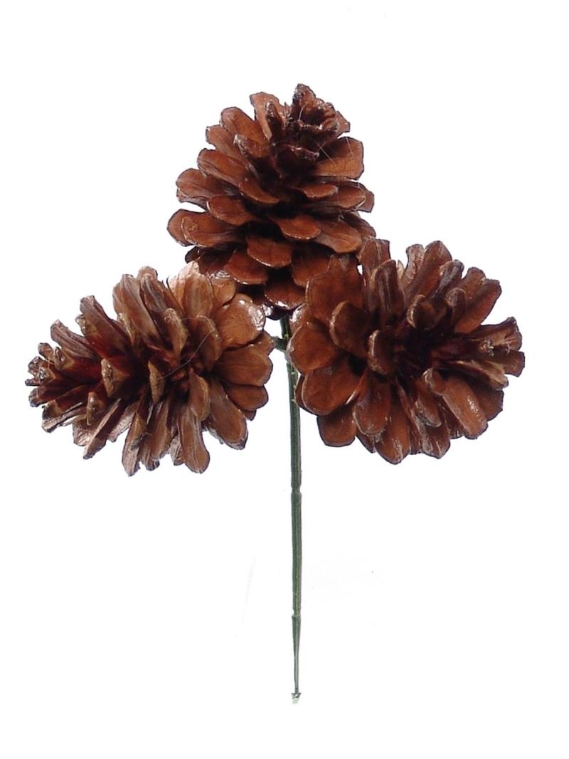 1.5 Inch Natural Lacquered Pine Cone Pick x 3 (Lot of 1 Bag - 12 Picks Per Bag) SALE ITEM image