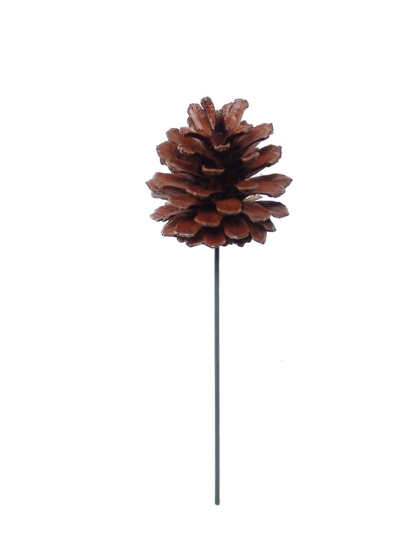 2.5 Inch Natural Lacquered Pine Cone Pick (Lot of 1 Bag - 12 Picks Per Bag) SALE ITEM image