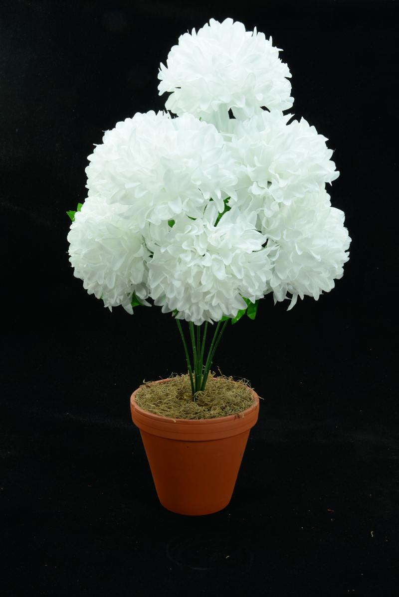 White Carnation-Mum Bush x7 (Lot of 1) SALE ITEM