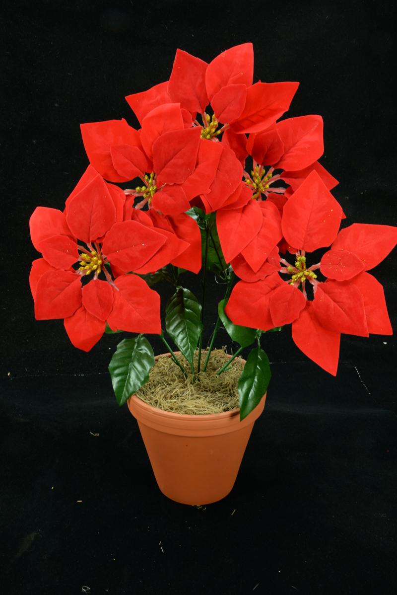 Red Micro-Peach Fabric Poinsettia Bush x5 with Gold Stamens (Lot of 24 bushes - 24 Bushes Per Box) SALE ITEM image