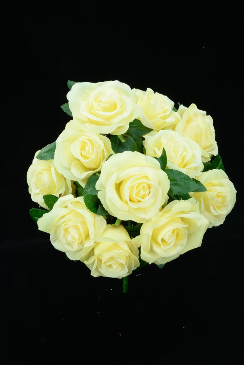 Yellow Open Rose Bush x11 (Lot of 1) SALE ITEM