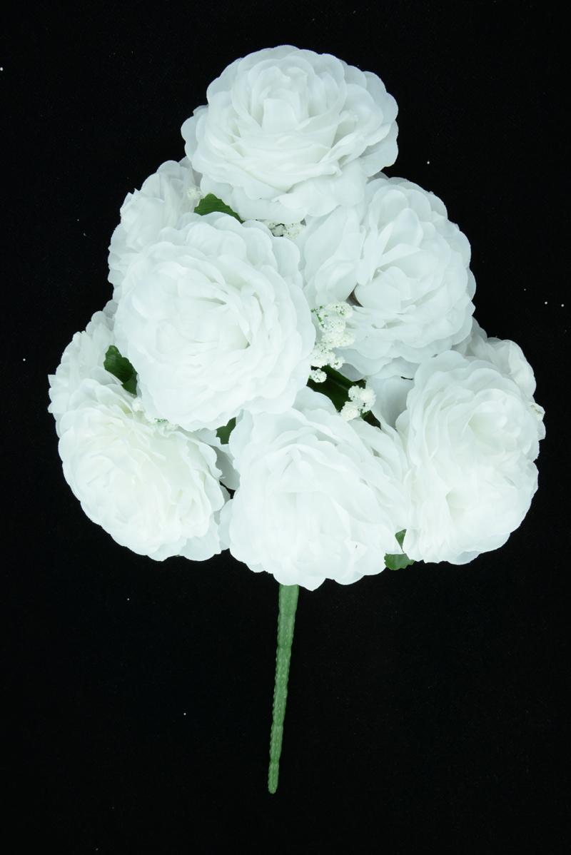 White Open Rose Bush x9 (Lot of 12) SALE ITEM