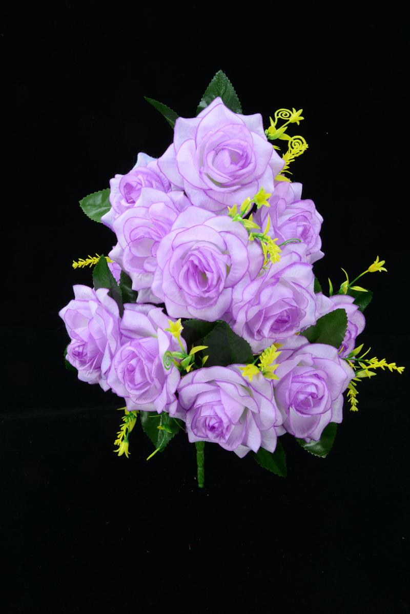 Lavender Open Rose Bush x12 (Lot of 8) SALE ITEM image