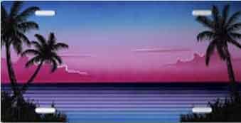Palm Trees Full Color Airbrush License Plate image