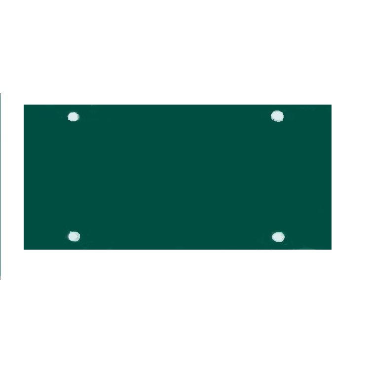 Green Acrylic Mirror License Plate image