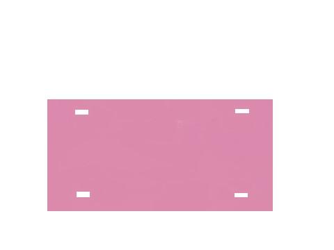 Pink Acrylic Mirror License Plate image