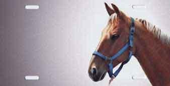 Horse Offset Airbrush License Plate image