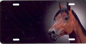 Bay Arabian Horse Offset Airbrush License Plate image