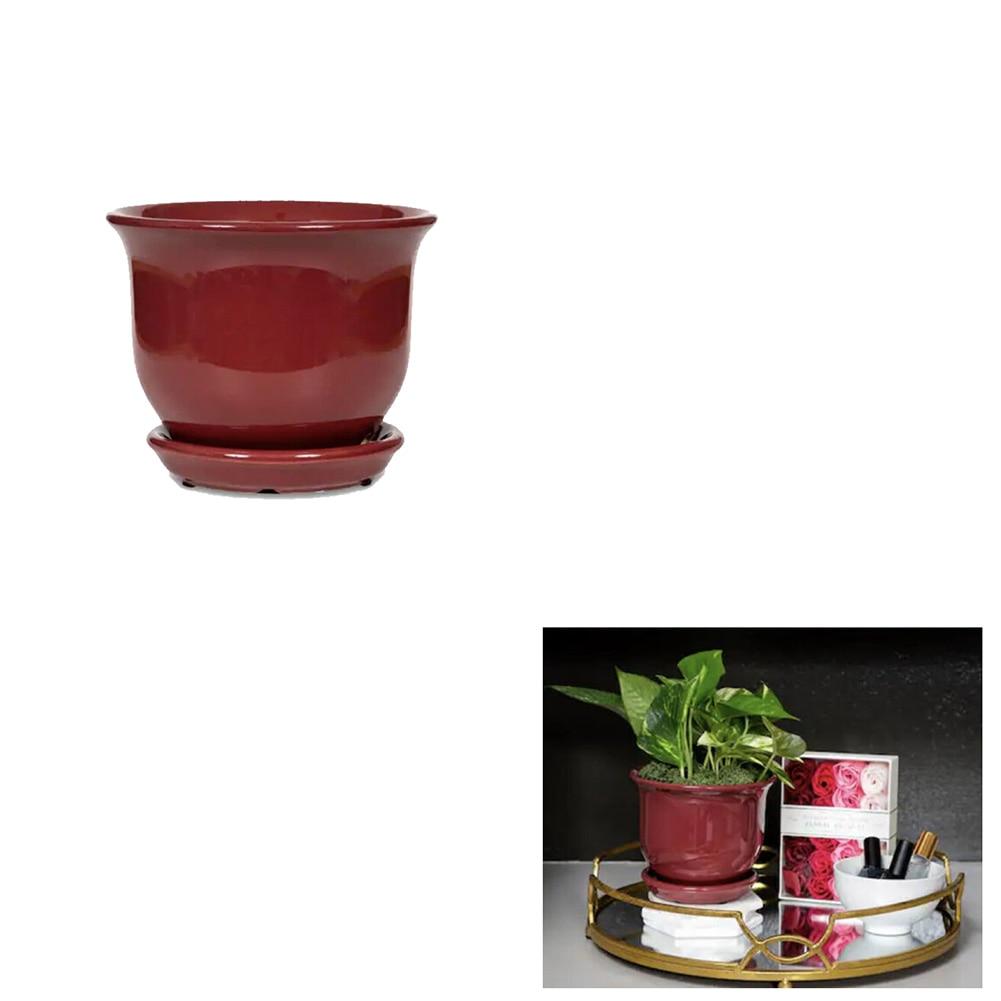 Paddock 6"Dx5"H Ceramic Cordovan Aurora Bell Planter Pot, Attached Saucer, 88cs/Pallet image