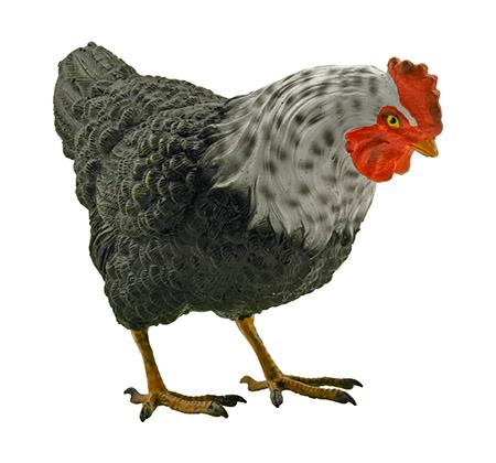 8.13" Country Farm House Chicken Hen Poly Resin Statue Figurine image