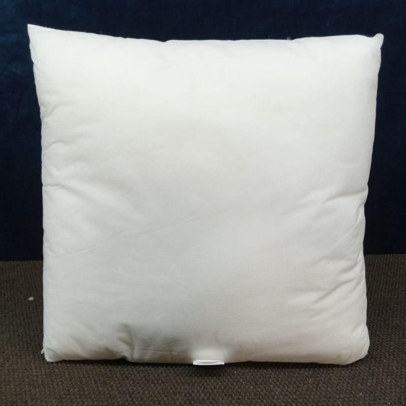 Pillow Insert 22" x 22" image