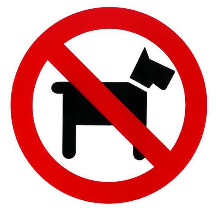 6in. x 6in. No Pets Decal - CLOSEOUT - #DNP66 image