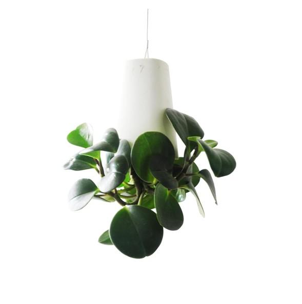 Matty's Garden Upside Down Planter - Inverted Levitating Planter - Item #7654