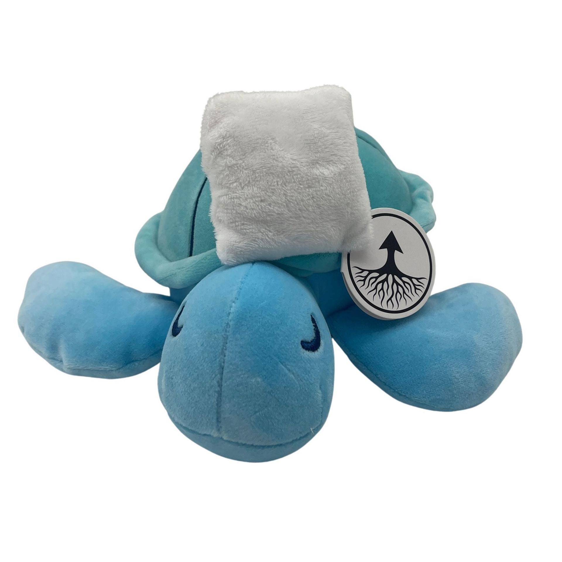 Follow Your Legend 9" Sam the Seaturtle Plushie with Plush Pillow image