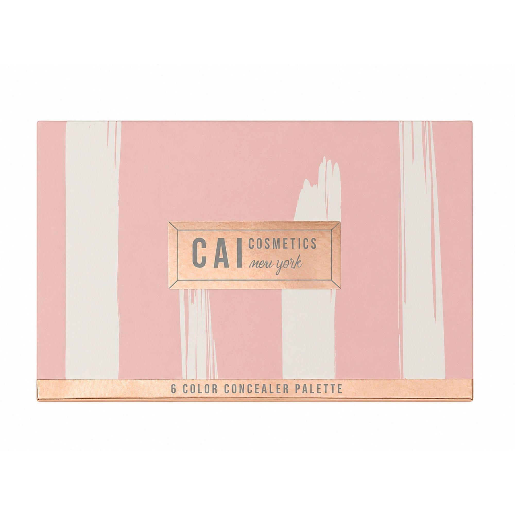 6 Color Concealer Pallete with Mirror and Brush image