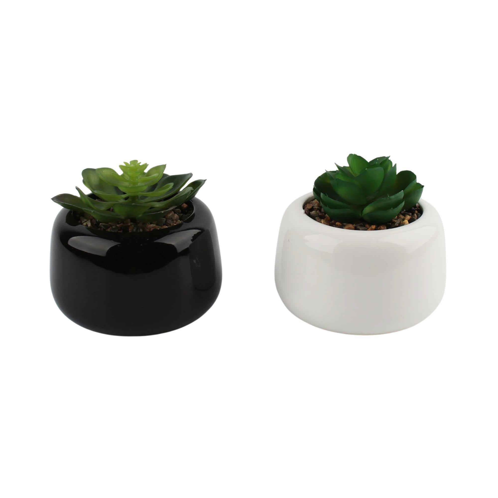 Artificial Succulent in Black Ceramic Tabletop Pot image