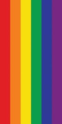 Pride Flag Towel