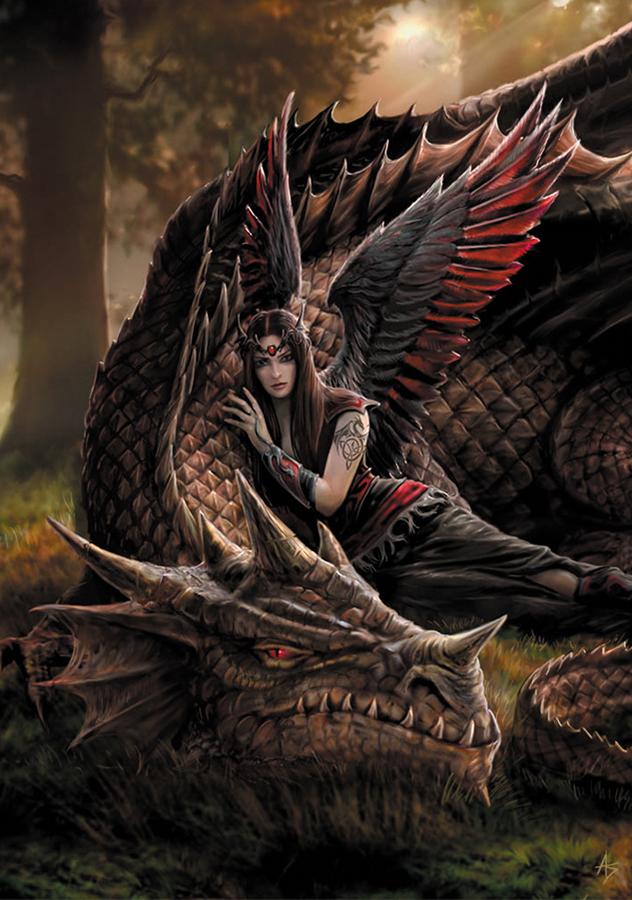 Winged Companions Card - 6 Pack image