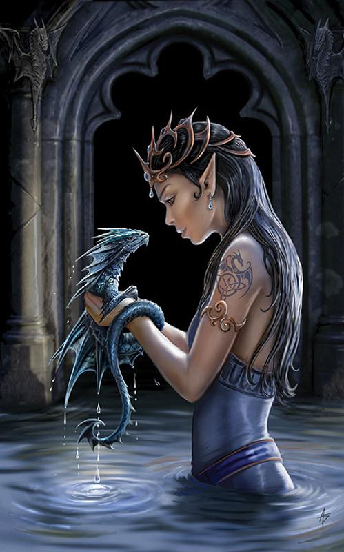 Water Dragon Card - 6 Pack (AN24) image