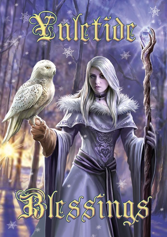 Winter Owl Card - 6 Pack image