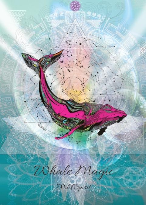 Whale Magic Card for Wild Spirit - 6 Pack image