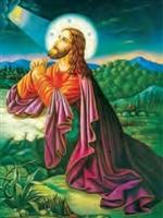 3D Lenticular Picture 3D1114