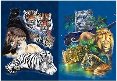 3D Picture 9711--Wild Cats