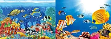 3D Picture 9765--Tropical Fish with Coral image