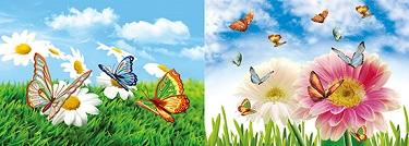 3D Picture 9781--Butterflies image