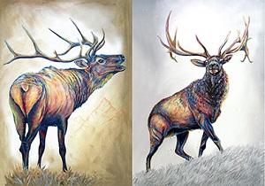 3D Picture 9806--Elk image