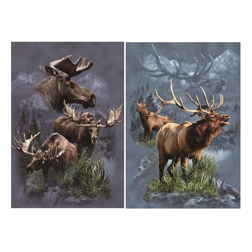 3D Picture 9812--Moose/Elk image
