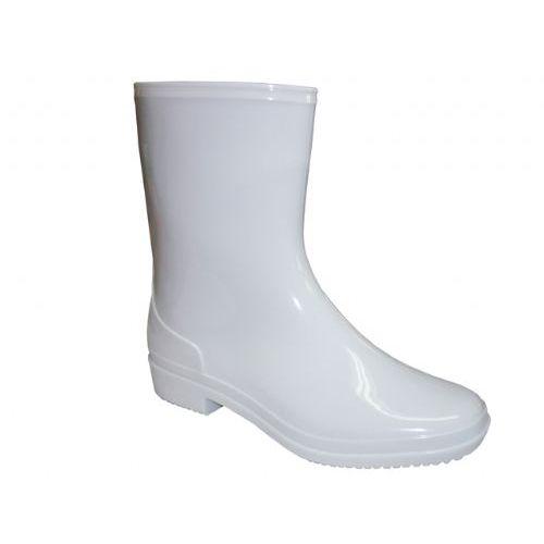 24 Wholesale Lady Mid Solid Color Rainboot image