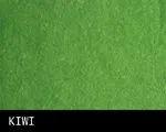 12 Wholesale Beach Terry Craft Towels 35 X 60 Kiwi image